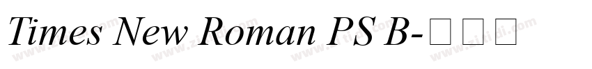 Times New Roman PS B字体转换